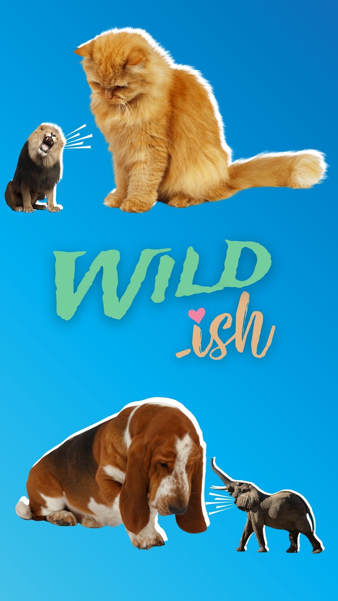 Wild-ish