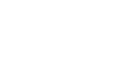Ally